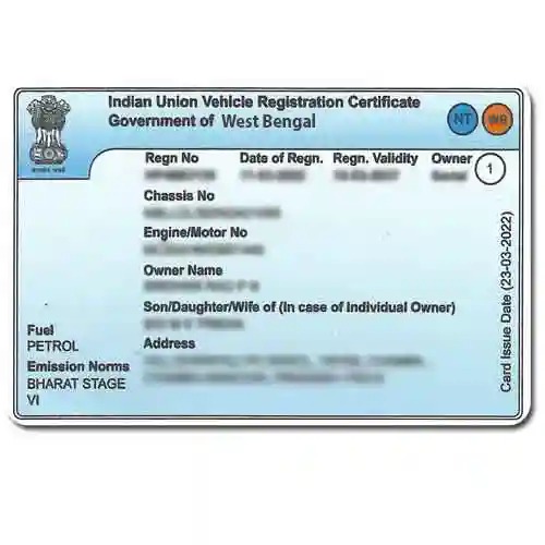 Driving License Sample